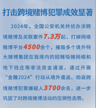 1739150615516.jpg